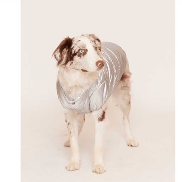 🔥s.o.l.d.🔥MAXBONE ALPINE PUFFER - Picture 7 of 8